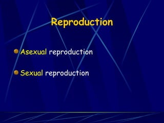 Reproduction
Asexual reproduction
Sexual reproduction
 