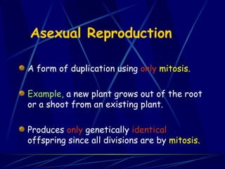 Asexual Reproduction
A form of duplication using only mitosis.
Example, a new plant grows out of the root
or a shoot from an existing plant.
Produces only genetically identical
offspring since all divisions are by mitosis.
 