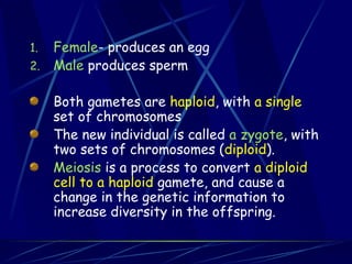 1. Female- produces an egg
2. Male produces sperm
Both gametes are haploid, with a single
set of chromosomes
The new individual is called a zygote, with
two sets of chromosomes (diploid).
Meiosis is a process to convert a diploid
cell to a haploid gamete, and cause a
change in the genetic information to
increase diversity in the offspring.
 