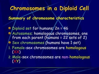Chromosomes in a Diploid Cell
Summary of chromosome characteristics
Diploid set for humans; 2n = 46
Autosomes; homologous chromosomes, one
from each parent (humans = 22 sets of 2)
Sex chromosomes (humans have 1 set)
1. Female-sex chromosomes are homologous
(XX)
2. Male-sex chromosomes are non-homologous
(XY)
 