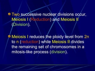 Two successive nuclear divisions occur,
Meiosis I (Reduction) and Meiosis II
(Division).
Meiosis I reduces the ploidy level from 2n
to n (reduction) while Meiosis II divides
the remaining set of chromosomes in a
mitosis-like process (division).
 