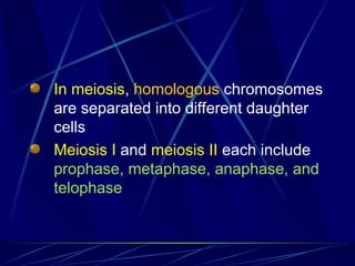 In meiosis, homologous chromosomes
are separated into different daughter
cells
Meiosis I and meiosis II each include
prophase, metaphase, anaphase, and
telophase
 