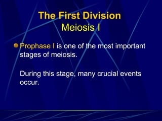 The First Division
Meiosis I
Prophase I is one of the most important
stages of meiosis.
During this stage, many crucial events
occur.
 