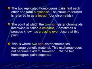 The two replicated homologous pairs find each
other and form a synapse. The structure formed
is referred to as a tetrad (four chromatids).
The point at which the two non-sister chromatids
intertwine is called a chiasma. Sometimes a
process known as crossing over occurs at this
point.
This is where two non-sister chromatids
exchange genetic material. This exchange does
not become evident, however, until the two
homologous pairs separate.
 