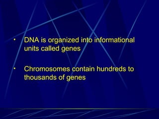 • DNA is organized into informational
units called genes
• Chromosomes contain hundreds to
thousands of genes
 