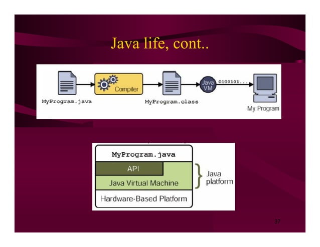 Introduction to Java Programming