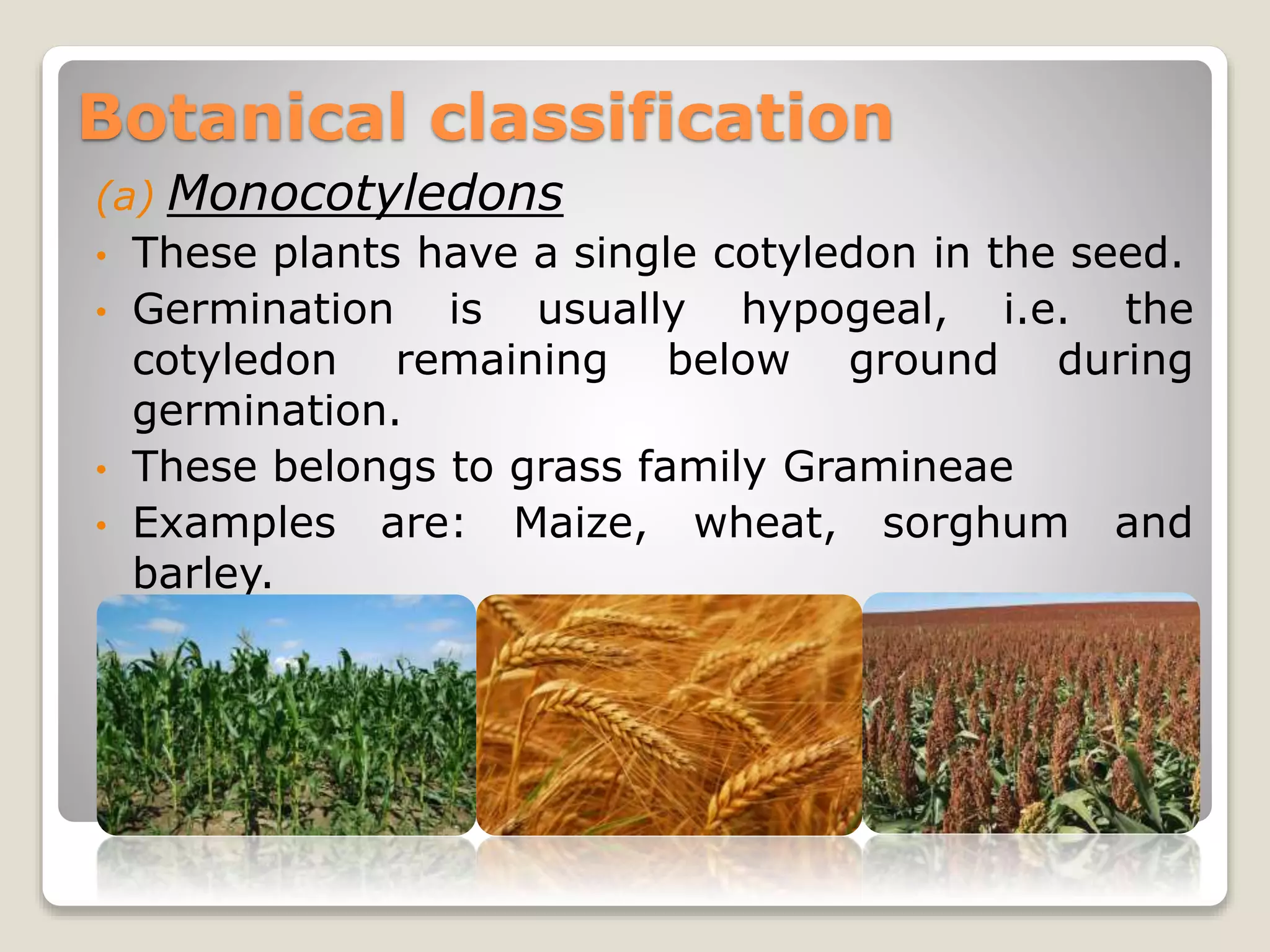 Classification of field crops | PPT