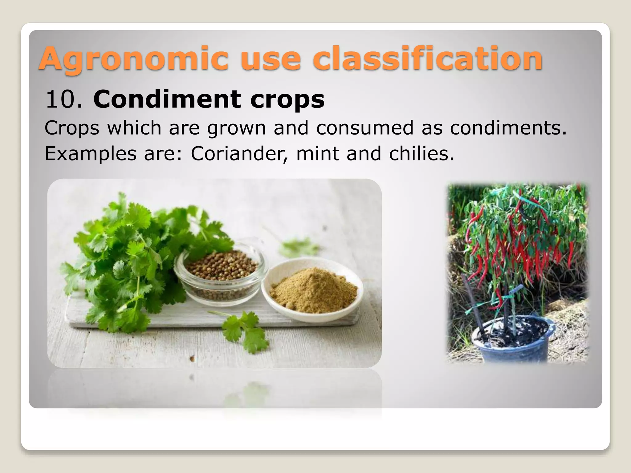 Classification of field crops | PPT