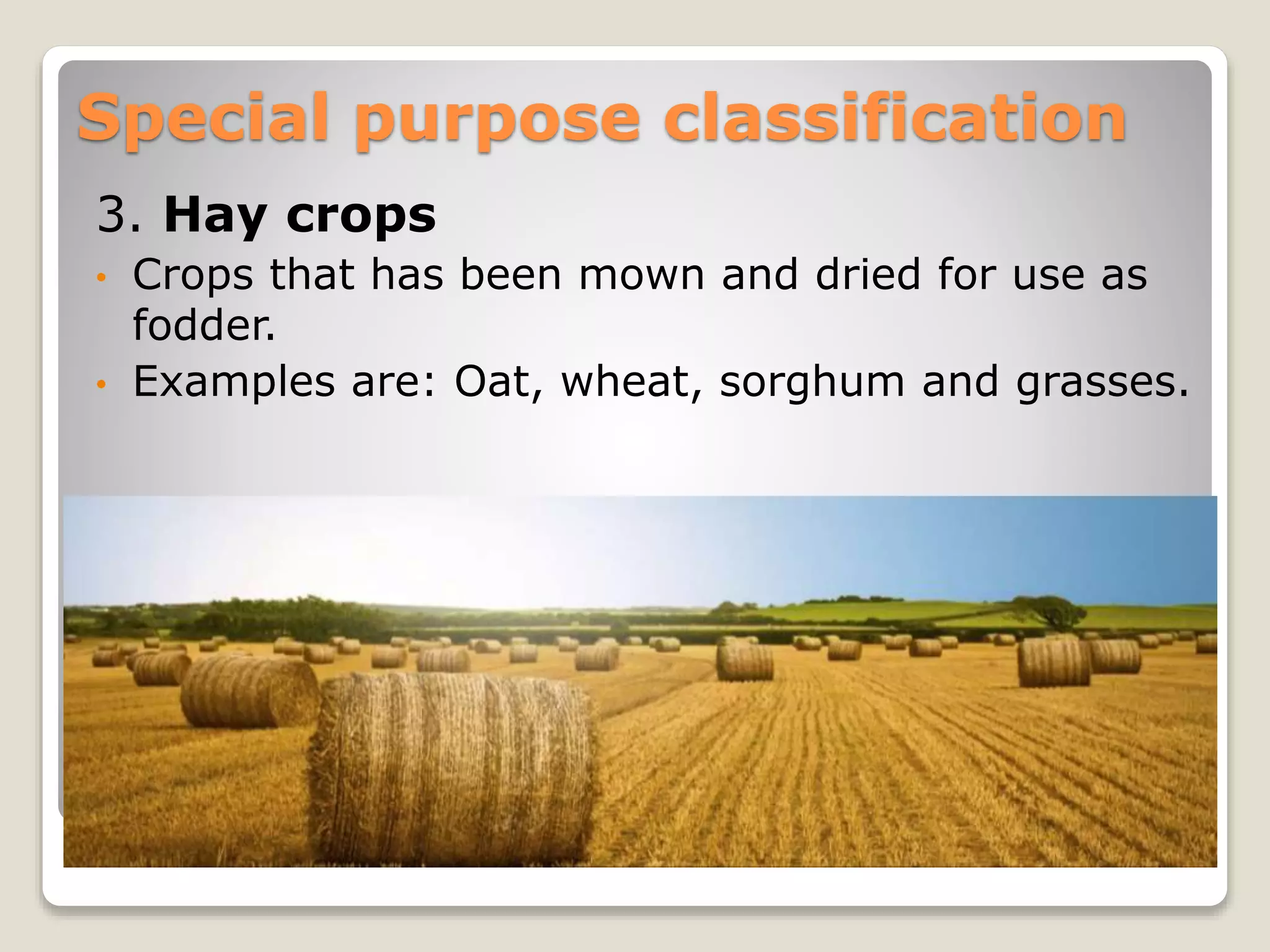 Classification of field crops | PPT