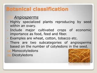 (ii) Angiosperms
• Highly specialized plants reproducing by seed
within an ovary.
• Include major cultivated crops of economic
importance as food, feed and fiber.
• Examples are wheat, cotton, tobacco etc.
• There are two subcategories of angiosperms
based on the number of cotyledons in the seed.
(a) Monocotyledons
(b) Dicotyledons
Botanical classification
 