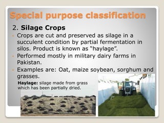 2. Silage Crops
• Crops are cut and preserved as silage in a
succulent condition by partial fermentation in
silos. Product is known as “haylage”.
• Performed mostly in military dairy farms in
Pakistan.
• Examples are: Oat, maize soybean, sorghum and
grasses.
Special purpose classification
Haylage: silage made from grass
which has been partially dried.
 