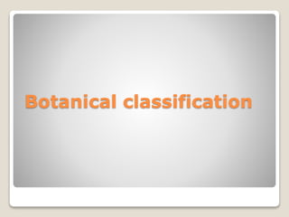 Botanical classification
 