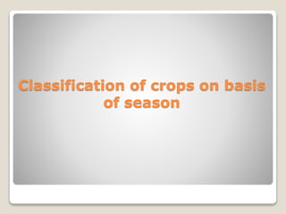 Classification of crops on basis
of season
 