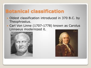 Botanical classification
 Oldest classification introduced in 370 B.C. by
Theophrastus.
 Carl Von Linne (1707-1778) known as Carolus
Linnaeus modernized it.
 