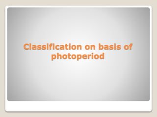 Classification on basis of
photoperiod
 
