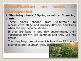 Classification on basis of
photoperiod
1. Short-day plants / Spring or winter flowering
plants
• These plants change from vegetative to
reproductive stage and produce flowers and fruits
when the day become shorter.
• If they are kept in long day environment, their
vegetative growth will continue and they will not
flower.
• Their day length requirement is less than 12 hours.
• Examples are: soybean, rice, tobacco etc.
 