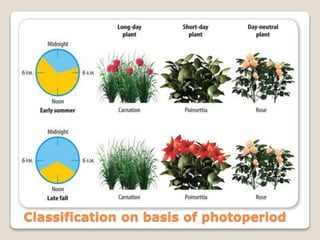 Classification on basis of photoperiod
 