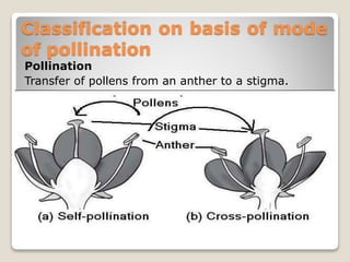 Classification on basis of mode
of pollination
Pollination
Transfer of pollens from an anther to a stigma.
 