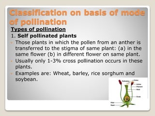 Classification on basis of mode
of pollination
Types of pollination
1. Self pollinated plants
• Those plants in which the pollen from an anther is
transferred to the stigma of same plant: (a) in the
same flower (b) in different flower on same plant.
• Usually only 1-3% cross pollination occurs in these
plants.
• Examples are: Wheat, barley, rice sorghum and
soybean.
 