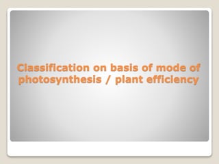 Classification on basis of mode of
photosynthesis / plant efficiency
 