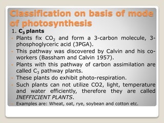 Classification on basis of mode
of photosynthesis
1. C3 plants
• Plants fix CO2 and form a 3-carbon molecule, 3-
phosphoglyceric acid (3PGA).
• This pathway was discovered by Calvin and his co-
workers (Bassham and Calvin 1957).
• Plants with this pathway of carbon assimilation are
called C3 pathway plants.
• These plants do exhibit photo-respiration.
• Such plants can not utilize CO2, light, temperature
and water efficiently, therefore they are called
INEFFICIENT PLANTS.
• Examples are: Wheat, oat, rye, soybean and cotton etc.
 