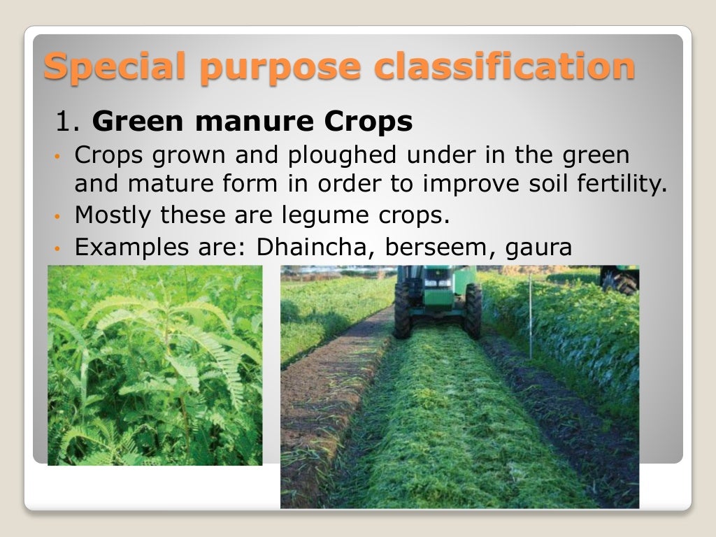 Classification of field crops