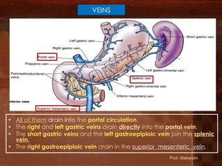 L1-GIT- Esophagus, stomach (11)546464.pdf