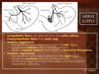 L1-GIT- Esophagus, stomach (11)546464.pdf