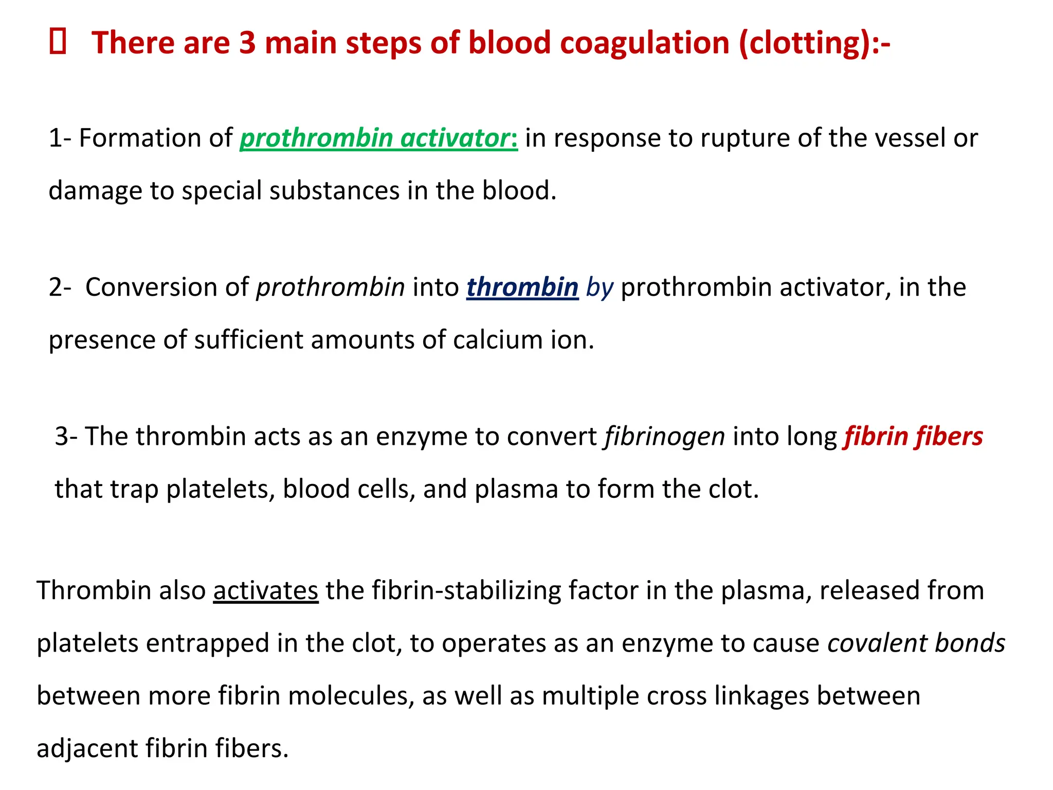 1- Formation of prothrombin activator: in response to rupture of the vessel or
damage to special substances in the blood.
2- Conversion of prothrombin into thrombin by prothrombin activator, in the
presence of sufficient amounts of calcium ion.
3- The thrombin acts as an enzyme to convert fibrinogen into long fibrin fibers
that trap platelets, blood cells, and plasma to form the clot.
There are 3 main steps of blood coagulation (clotting):-
Thrombin also activates the fibrin-stabilizing factor in the plasma, released from
platelets entrapped in the clot, to operates as an enzyme to cause covalent bonds
between more fibrin molecules, as well as multiple cross linkages between
adjacent fibrin fibers.
 