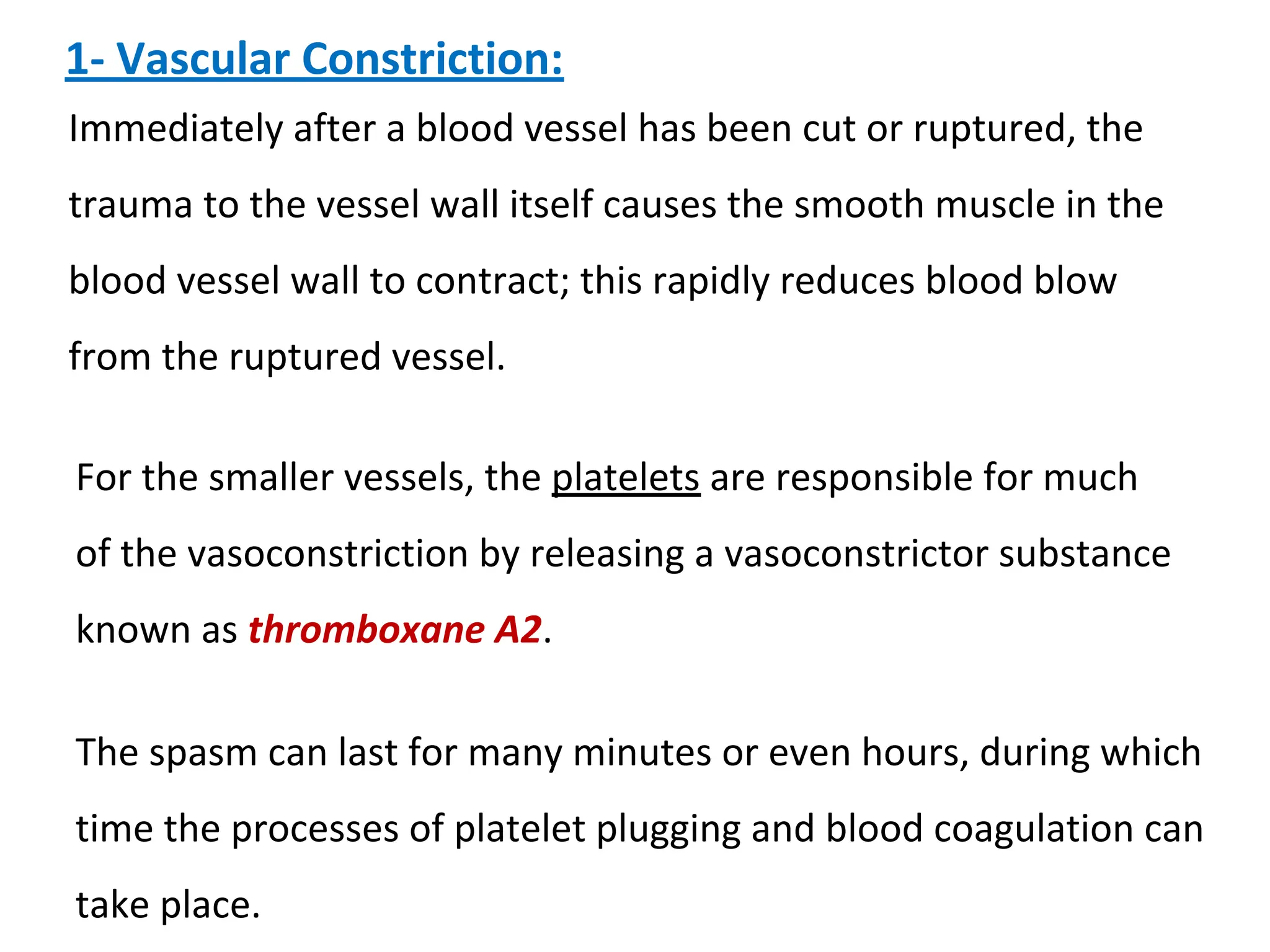 1- Vascular Constriction:
Immediately after a blood vessel has been cut or ruptured, the
trauma to the vessel wall itself causes the smooth muscle in the
blood vessel wall to contract; this rapidly reduces blood blow
from the ruptured vessel.
For the smaller vessels, the platelets are responsible for much
of the vasoconstriction by releasing a vasoconstrictor substance
known as thromboxane A2.
The spasm can last for many minutes or even hours, during which
time the processes of platelet plugging and blood coagulation can
take place.
 