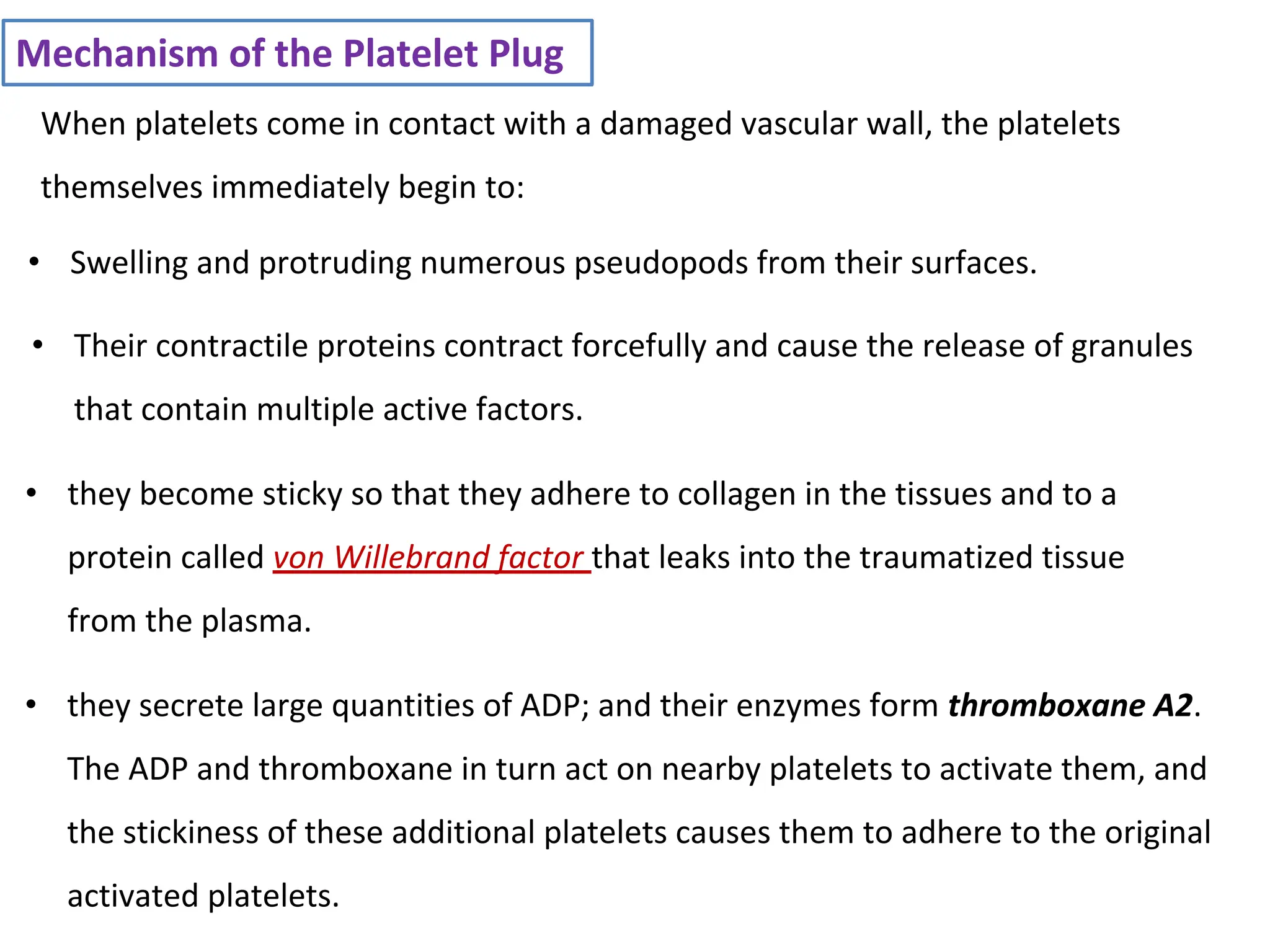 • Swelling and protruding numerous pseudopods from their surfaces.
Mechanism of the Platelet Plug
When platelets come in contact with a damaged vascular wall, the platelets
themselves immediately begin to:
• they secrete large quantities of ADP; and their enzymes form thromboxane A2.
The ADP and thromboxane in turn act on nearby platelets to activate them, and
the stickiness of these additional platelets causes them to adhere to the original
activated platelets.
• they become sticky so that they adhere to collagen in the tissues and to a
protein called von Willebrand factor that leaks into the traumatized tissue
from the plasma.
• Their contractile proteins contract forcefully and cause the release of granules
that contain multiple active factors.
 