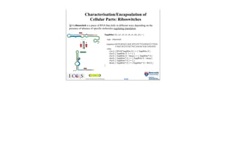 R1 Rib Introduction to biocomputing | PDF