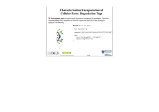 R1 Rib Introduction to biocomputing | PDF