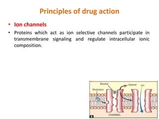 Principles of drug action
• Ion channels
• Proteins which act as ion selective channels participate in
transmembrane signaling and regulate intracellular ionic
composition.
 