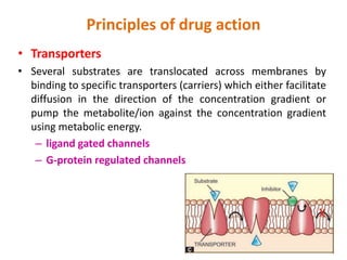 Principles of drug action
• Transporters
• Several substrates are translocated across membranes by
binding to specific transporters (carriers) which either facilitate
diffusion in the direction of the concentration gradient or
pump the metabolite/ion against the concentration gradient
using metabolic energy.
– ligand gated channels
– G-protein regulated channels
 