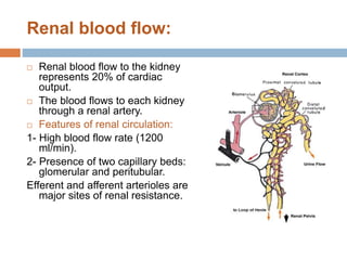L1-Renal physiology 2018.ppt
