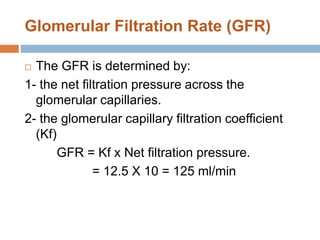 Glomerular Filtration Rate (GFR)
 The GFR is determined by:
1- the net filtration pressure across the
glomerular capillaries.
2- the glomerular capillary filtration coefficient
(Kf)
GFR = Kf x Net filtration pressure.
= 12.5 X 10 = 125 ml/min
 