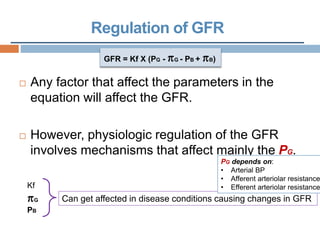 Regulation of GFR
GFR = Kf X (PG - G - PB + B)
 Any factor that affect the parameters in the
equation will affect the GFR.
 However, physiologic regulation of the GFR
involves mechanisms that affect mainly the PG.
Kf
G
PB
Can get affected in disease conditions causing changes in GFR
PG depends on:
• Arterial BP
• Afferent arteriolar resistance
• Efferent arteriolar resistance
 