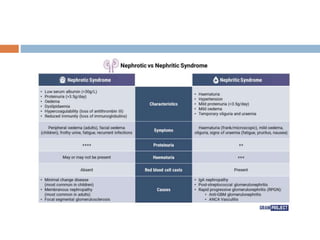 L1-Renal physiology 2018.ppt