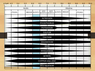 Soil pH and EC level, how to check the soil pH | PPTX