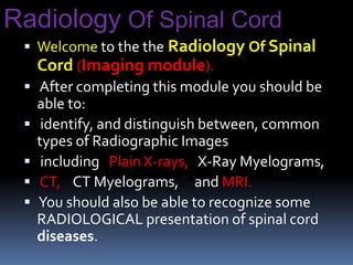  Welcome to the the Radiology Of Spinal
Cord (Imaging module).
 After completing this module you should be
able to:
 identify, and distinguish between, common
types of Radiographic Images
 including Plain X-rays, X-Ray Myelograms,
 CT, CT Myelograms, and MRI.
 You should also be able to recognize some
RADIOLOGICAL presentation of spinal cord
diseases.
Radiology Of Spinal Cord
 