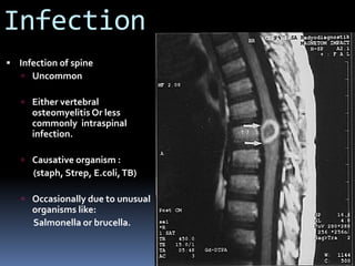 Infection
 Infection of spine
 Uncommon
 Either vertebral
osteomyelitis Or less
commonly intraspinal
infection.
 Causative organism :
(staph, Strep, E.coli,TB)
 Occasionally due to unusual
organisms like:
Salmonella or brucella.
 