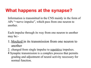 What happens at the synapse?
Information is transmitted in the CNS mainly in the form of
APs “=nerve impulse”, which pass from one neuron to
another.
Each impulse through its way from one neuron to another
may be:-
1. blocked in its transmission from one neuron to
another
2. changed from single impulse to repetitive impulses.
 Synaptic transmission is a complex process that permits
grading and adjustment of neural activity necessary for
normal function.
 