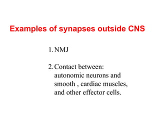Examples of synapses outside CNS
1.NMJ
2.Contact between:
autonomic neurons and
smooth , cardiac muscles,
and other effector cells.
 