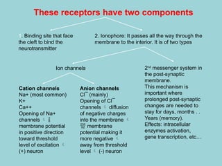 These receptors have two components
1. Binding site that face
the cleft to bind the
neurotransmitter
2. Ionophore: It passes all the way through the
membrane to the interior. It is of two types
Ion channels 2nd
messenger system in
the post-synaptic
membrane.
This mechanism is
important where
prolonged post-synaptic
changes are needed to
stay for days, months . .
Years (memory).
Effects: intracellular
enzymes activation,
gene transcription, etc…
Cation channels
Na+ (most common)
K+
Ca++
Opening of Na+
channels  
membrane potential
in positive direction
toward threshold
level of excitation 
(+) neuron
Anion channels
Cl¯ (mainly)
Opening of Cl¯
channels  diffusion
of negative charges
into the membrane 
 membrane
potential making it
more negative 
away from threshold
level  (-) neuron
 
