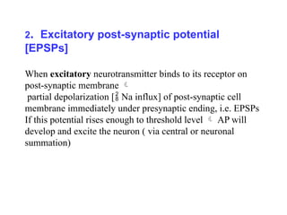2. Excitatory post-synaptic potential
[EPSPs]
When excitatory neurotransmitter binds to its receptor on
post-synaptic membrane 
partial depolarization [ Na influx] of post-synaptic cell
membrane immediately under presynaptic ending, i.e. EPSPs
If this potential rises enough to threshold level  AP will
develop and excite the neuron ( via central or neuronal
summation)
 