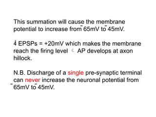 This summation will cause the membrane
potential to increase from 65mV to 45mV.
 EPSPs = +20mV which makes the membrane
reach the firing level  AP develops at axon
hillock.
N.B. Discharge of a single pre-synaptic terminal
can never increase the neuronal potential from
65mV to 45mV.
 