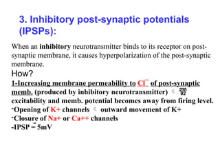 3. Inhibitory post-synaptic potentials
(IPSPs):
When an inhibitory neurotransmitter binds to its receptor on post-
synaptic membrane, it causes hyperpolarization of the post-synaptic
membrane.
How?
1-Increasing membrane permeability to Cl¯ of post-synaptic
memb. (produced by inhibitory neurotransmitter)  
excitability and memb. potential becomes away from firing level.
-Opening of K+ channels  outward movement of K+
-Closure of Na+ or Ca++ channels
-IPSP = 5mV
 