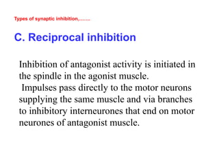 Types of synaptic inhibition,…….
C. Reciprocal inhibition
Inhibition of antagonist activity is initiated in
the spindle in the agonist muscle.
Impulses pass directly to the motor neurons
supplying the same muscle and via branches
to inhibitory interneurones that end on motor
neurones of antagonist muscle.
 