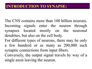 INTRODUCTION TO SYNAPSE:
The CNS contains more than 100 billion neurons.
Incoming signals enter the neuron through
synapses located mostly on the neuronal
dendrites, but also on the cell body.
For different types of neurons, there may be only
a few hundred or as many as 200,000 such
synaptic connections from input fibers.
Conversely, the output signal travels by way of a
single axon leaving the neuron.
 